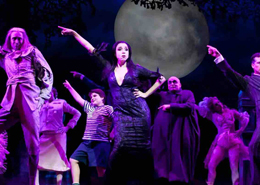 Musical &ndash; A Fam&iacute;lia Addams